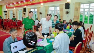 Ninh Binh: Thien Truong وارڈ پولیس نے ہلاک ہونے والے فوجیوں کے رشتہ داروں سے DNA کے نمونے جمع کرنے میں تیزی لائی ہے۔