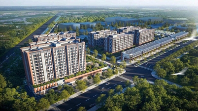 ស្ថាប័នវប្បធម៌ផ្តល់ការលើកទឹកចិត្តដល់ពលករចំណាកស្រុកនៅទីក្រុងហៃផុង។