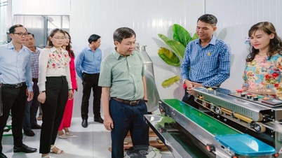 សេចក្តីប្រាថ្នា​លើ​ការ​ចិញ្ចឹម​ត្រី​បៃតង​របស់​សហគ្រិន​វ័យក្មេង​នៅ​ក្នុង​ដែនដី​ផ្កាឈូក។