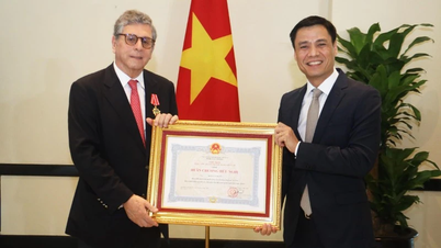 អនុរដ្ឋមន្ត្រីក្រសួងការបរទេស លោក ដាំង ហ្វាងយ៉ាង ប្រគល់គ្រឿងឥស្សរិយយសមិត្តភាពជូនឯកអគ្គរដ្ឋទូតប្រេស៊ីលប្រចាំនៅវៀតណាម។