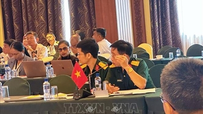 Vietnam contribuye activamente a la Reunión del Grupo de Expertos sobre Mantenimiento de la Paz del ADMM+.