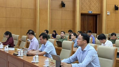 Online conference to implement legal documents in the second quarter of 2026.