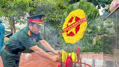 Khanh Hoa-provinsen lancerer en kampagne for at indsamle DNA-prøver fra 2.648 slægtninge til faldne soldater.