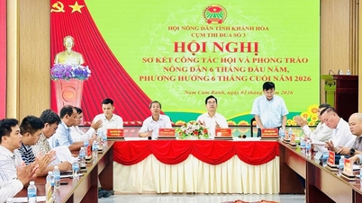 Grupul nr. 3 al Asociației Fermierilor din Provincia Khanh Hoa a organizat o întâlnire de analiză a activității asociațiilor și a mișcării fermierilor.