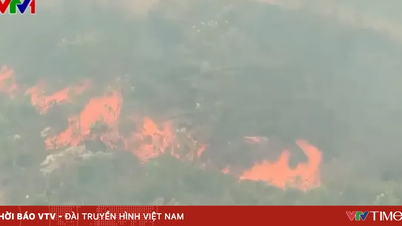 Nghe An ordina la rigorosa attuazione di misure urgenti per prevenire gli incendi boschivi.