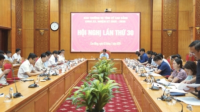 প্রাদেশিক পার্টি কমিটির স্থায়ী কমিটির ৩০তম বৈঠক - কাও বাং অনলাইন সংবাদপত্র