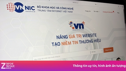 ما الجديد بخصوص اسم النطاق '.vn' اعتبارًا من الأول من يوليو؟