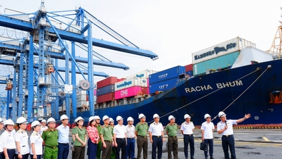 Echipa de sondaj a Comitetului pentru Apărare Națională, Securitate și Afaceri Externe a colaborat cu Corporația Saigon Newport.