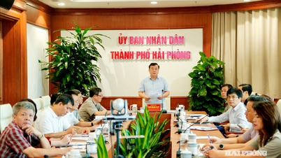 Hai Phong proposes a mechanism to support specific localities within the Law on Special Urban Areas.