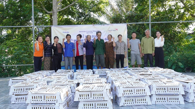 Mavin Group dan World Vision telah menghabiskan sembilan tahun menyemai benih harapan untuk penduduk tanah tinggi Thanh Hoa.