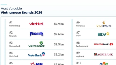 Revelando as 10 marcas mais valiosas do Vietnã: Vinamilk mantém sua posição pelo 4º ano consecutivo.