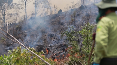 Die Provinz Nghe An wird die lokalen Verantwortlichen zur Rechenschaft ziehen, falls es zu Waldbränden kommt.