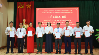 Ninh Binh Eyaleti, Nam Hong Beldesi'nde (eski adıyla Nam Dinh Eyaleti, Xuan Truong İlçesi) Parti Komitesi ve Geçici Köy Muhtarının Atanması