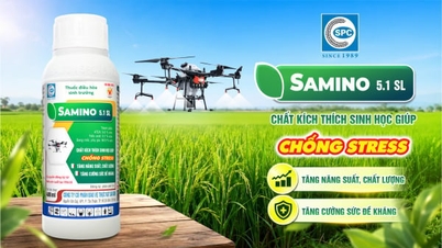 Samino 5.1SL: Bitkiler için özel bir şok emici ürün.