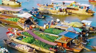 Reviving the heritage of Cai Rang floating market.