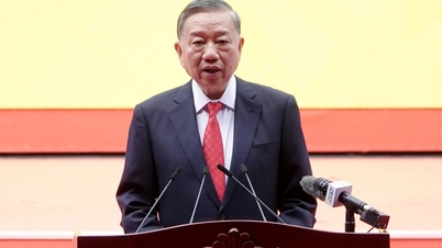 Ho Chi Minh Şehri öncülük etmeye ve yolu açmaya devam ediyor.