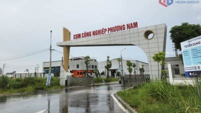 Developing industrial clusters and promoting the private economy.