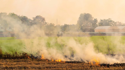 Hanoi: Lokale leiders zullen verantwoordelijk worden gehouden als er stro en huishoudelijk afval wordt verbrand.