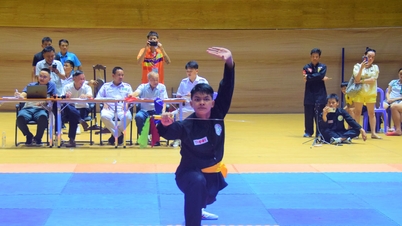 Över 100 idrottare deltog i den traditionella kampsportstävlingen på Da Nang City Sports Festival.