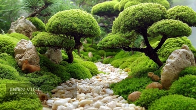 Cinco plantas ornamentales que se asemejan a tesoros verdes del bosque, transformando las malas hierbas en majestuosos bonsáis, atrayendo riqueza, preservando la fortuna y trayendo paz al hogar.