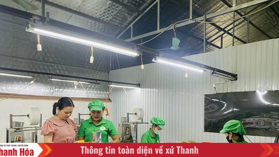 Membangunkan produk OCOP untuk menggalakkan ekonomi kolektif.