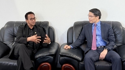 Việt Nam - Timor-Leste thúc đẩy hợp tác trong lĩnh vực pháp luật, tư pháp
