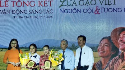 Concurso de escritura creativa "Arroz vietnamita": Reavivando el orgullo por el arroz vietnamita.