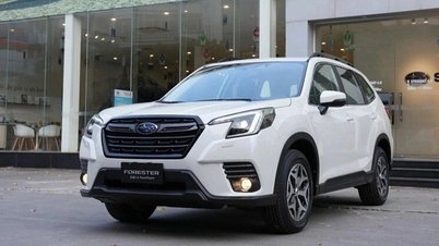 Останні моделі Forester, імпортовані з Таїланду, пропонуються зі знижкою 360 мільйонів донгів.