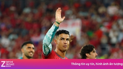 Ibrahimovic: „Der Schiedsrichter hat alles getan, um Ronaldo zum WM-Titel zu verhelfen.“