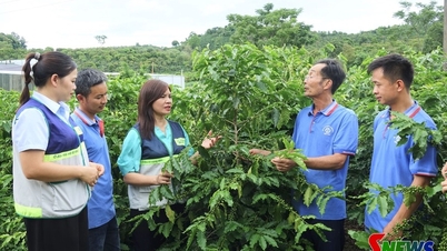 Creating new value from professional farmers.