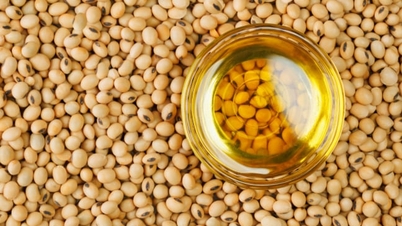 EU mahu mengurangkan kebergantungannya terhadap kacang soya yang diimport.