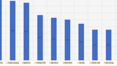 Tuyen Quang, matematikte 10 üzerinden mükemmel puan alan öğrenci yüzdesi bakımından ülke genelinde ikinci sırada yer alıyor.