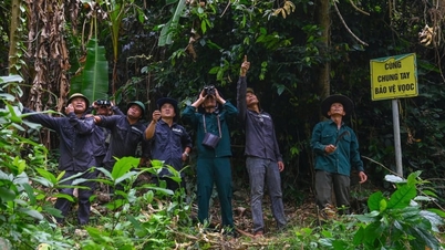 Những "vành đai" bảo vệ môi trường mang tên cộng đồng