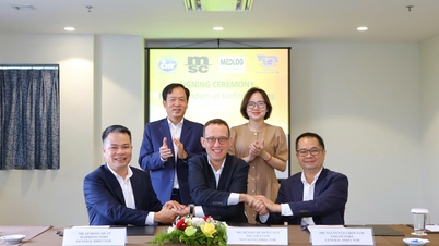 Τα λιμάνια Hai Phong και Saigon συνεργάζονται με την MSC και την MEDLOG για την επέκταση των ολοκληρωμένων αλυσίδων logistics.