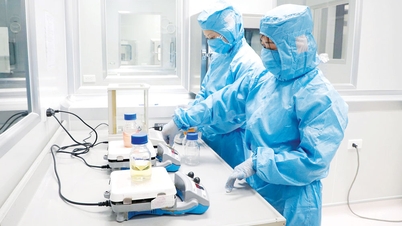 Το Κέντρο Ελέγχου και Πρόληψης Νοσημάτων (CDC) του Bac Ninh είναι η πρώτη μονάδα στη χώρα που λαμβάνει το πιστοποιητικό «Καλής Εργαστηριακής Πρακτικής».