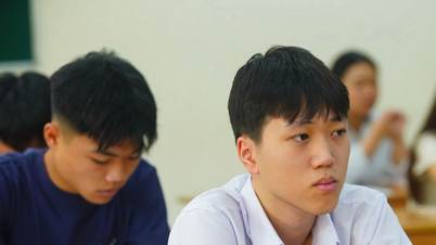 Bộ GD&ĐT: Kết quả thi môn Toán ở tỉnh Tuyên Quang có một số điểm cần kiểm tra, làm rõ