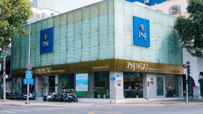 P-Lab liderinin suçlandığı haberinin ardından PNJ hisseleri sert bir düşüş yaşayarak taban seviyesine geriledi.