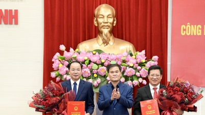 ຄະນະກຳມະການປະຊາຊົນແຂວງກວາງນິງ ປະກາດມະຕິກ່ຽວກັບບັນຫາບຸກຄະລາກອນ.
