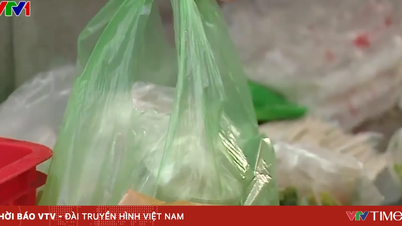Día Internacional Sin Bolsas de Plástico, 3 de julio: Avanzando hacia la limitación del uso de bolsas de plástico de un solo uso.
