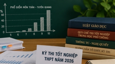Eğitim ve Öğretim Bakanlığı: Tuyen Quang'daki liselerin matematik mezuniyet puanlarıyla ilgili soruşturma ve açıklama gerekiyor.