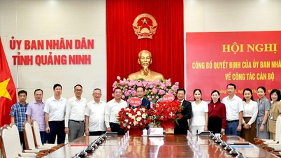 M. Le Ngoc Thanh a été nommé directeur du département de la Culture, des Sports et du Tourisme de la province de Quang Ninh.