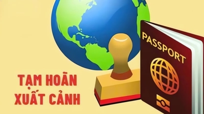 50 milyon VND veya daha fazla vergi borcu olanlara geçici seyahat yasağı getirilebilir.