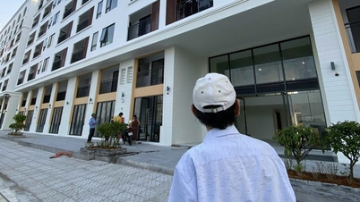 Pemerintah telah menetapkan 22 kasus di mana pajak penghasilan pribadi dibebaskan.