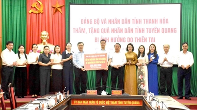 Thanh Hoa ili, doğal afetlerin sonuçlarının üstesinden gelmeye yardımcı olmak amacıyla Tuyen Quang iline 500 milyon VND yardımda bulundu.