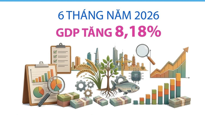 Шість місяців 2026 року: зростання ВВП на 8,18%