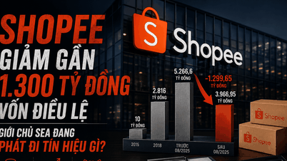 Hvorfor hævede Shopee næsten 1,3 billioner VND af sin stiftelseskapital, mens de stadig var førende på markedet?