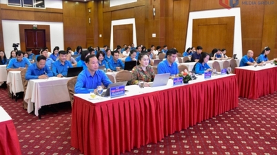 Vietnamin isänmaanrintaman 11. kongressin päätöslauselman ja Vietnamin ammattiliiton 14. kongressin päätöslauselman tutkiminen ja perusteellinen ymmärtäminen.