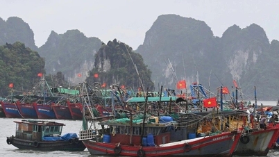 Quang Ninh: One person missing due to storm; sea travel banned from 12 noon today.