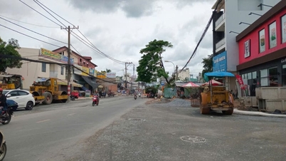 Der Bezirk Cat Lai übergibt 100% des Landes und verpflichtet sich, drei Schlüsselprojekte im Osten von Ho-Chi-Minh-Stadt zu beschleunigen.