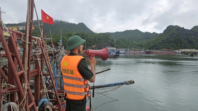 A Hai Phong város határőrsége intézkedéseket hajt végre az 1-es számú (Maysak) tájfun elleni védekezésül.